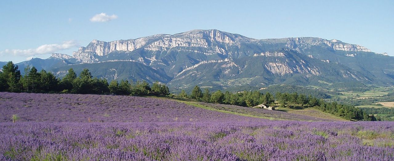paysage drome provencale